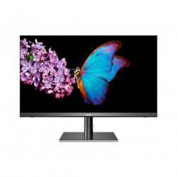 MONITOR LED IPS 315 MSI CREATOR PS321QR NEGRO