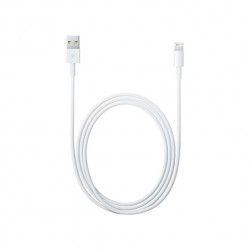 ADAPTADOR APPLE LIGHTNING MACHO A USB MACHO 2M