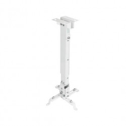 SOPORTE PROYECTOR TOOQ PJ2012T W BLANCO SOP DE TECHO 20KG 