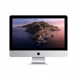 ORDENADOR APPLE IMAC 215 SILVER 2020 I5 23GHZ 8GB SSD 25